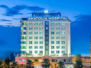 anatolia 291x220-5.png