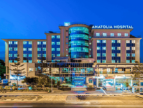 anatolia 291x220.png