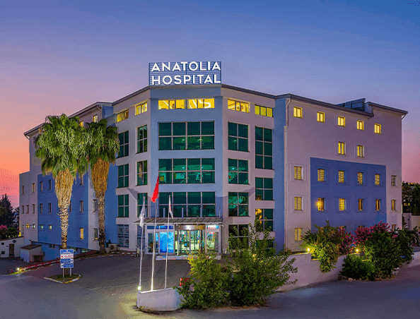 anatolia 594x452.png